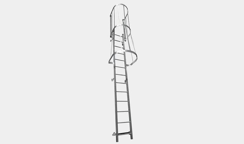 DeMuth 59 ft Walk Thru Cage Galvanized Wall Ladder
