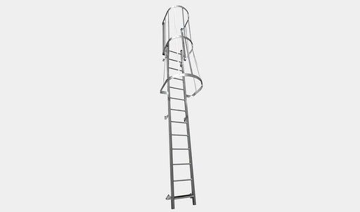 DeMuth 59 ft Walk Thru Cage Galvanized Wall Ladder