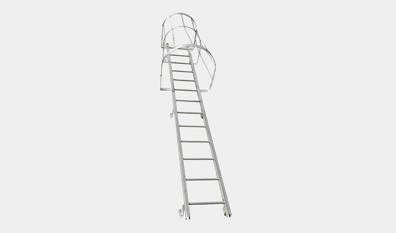 DeMuth Cage Side Exit Galvanized Wall Ladders