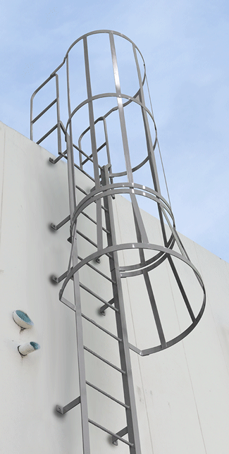 Cotterman Steel Fixed Ladders - F9W